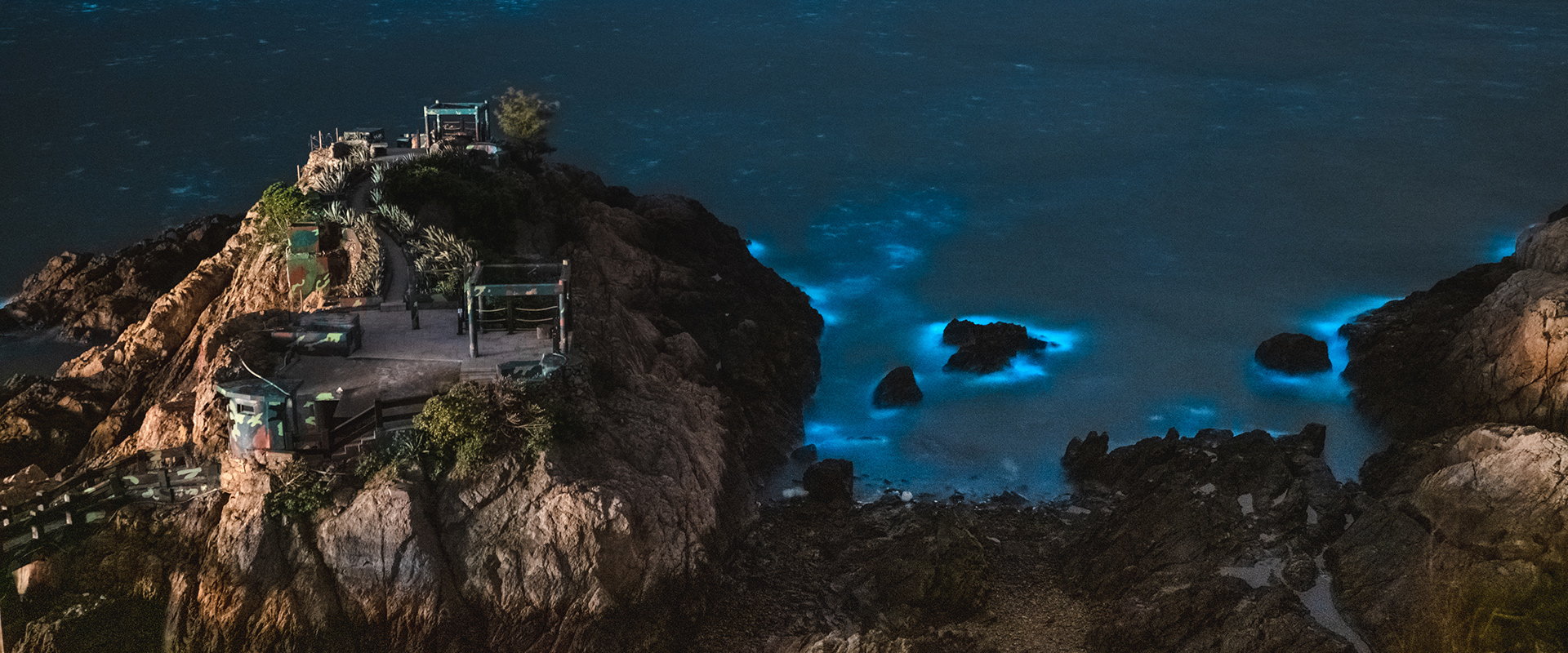 夜賞藍眼淚